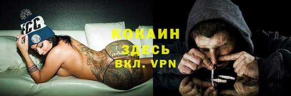 стафф Елизово