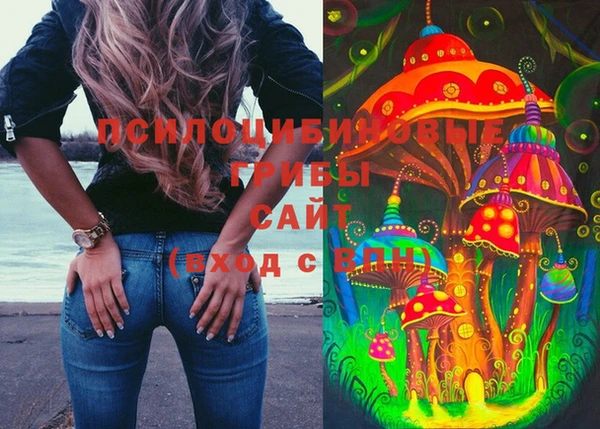 мескалин Ельня