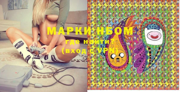 стафф Елизово