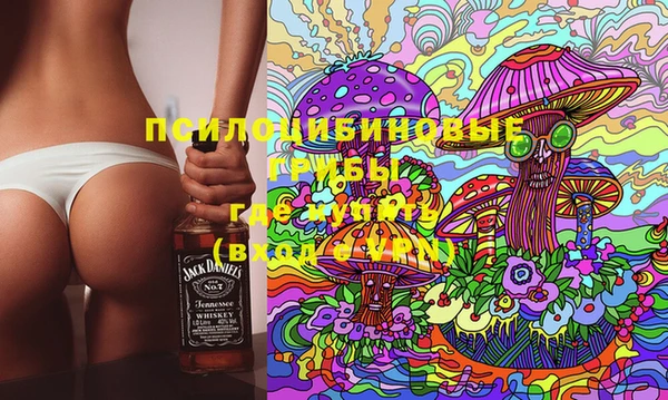 мескалин Ельня