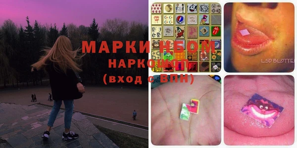 стафф Елизово